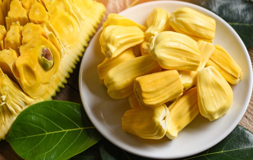 IQF Jackfruit